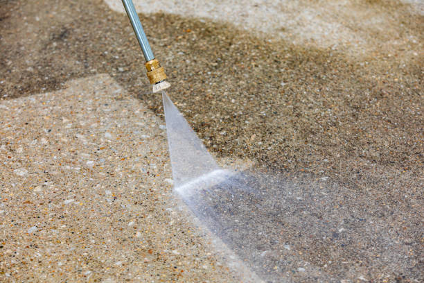 Animal Enclosure Cleaning in Bear Rocks, PA